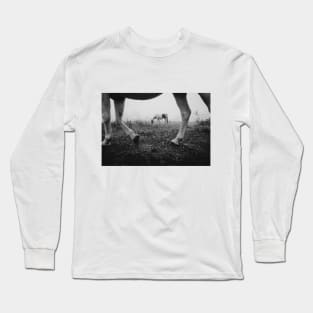 Framed Long Sleeve T-Shirt